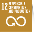 Responsible consumption and production