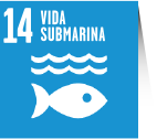 Vida submarina