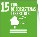 Vida de ecosistemas terrestres