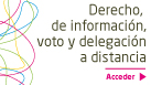 [ES][OR] derecho información, voto y delegación a distancia