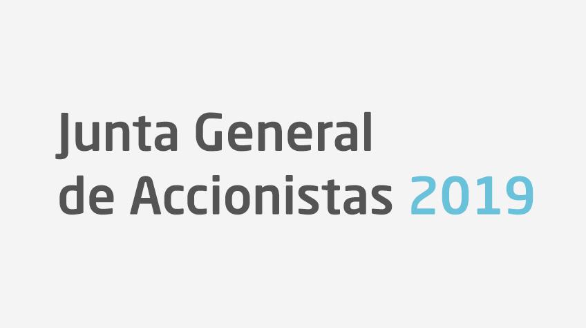 Junta general de accionistas