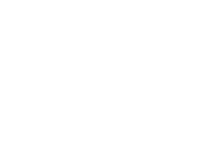 Consolidated Non-Financial Information Statement 2025