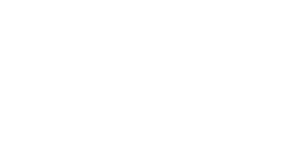 Estado de Información No Financiera 2025 Consolidado