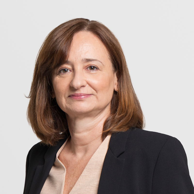 Virginia Fernández Iribarnegaray